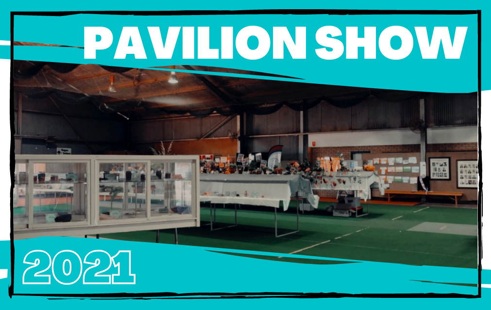 Gallery: Finley Pavilion Show 2021